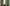 Rideaux vert sauge denses encadrant une grande fenêtre dans un salon élégant, lumière naturelle