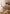 Aktionsbanner