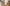 Aktionsbanner
